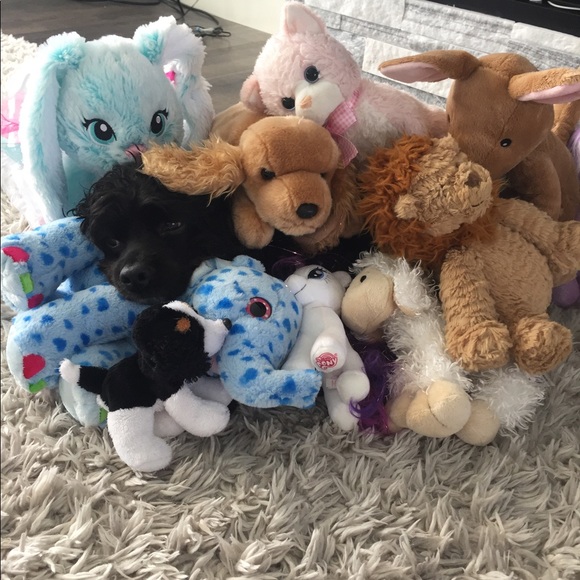 Meet your Posher, Janelle - Picture 1 of 1